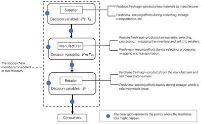 Coordination mechanism of the three-echelon supply chain of fresh agriproduct with joint efforts